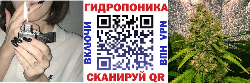 Конопля ГИДРОПОН  гидра маркетплейс  Светлый  где продают  